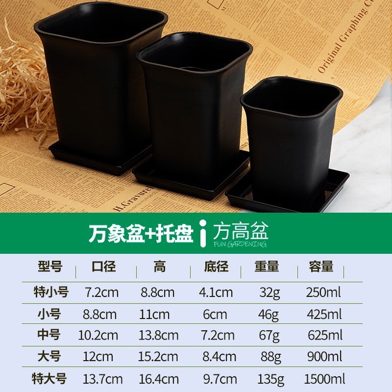 5 bandejas cuadrados de Vientiane (negro)