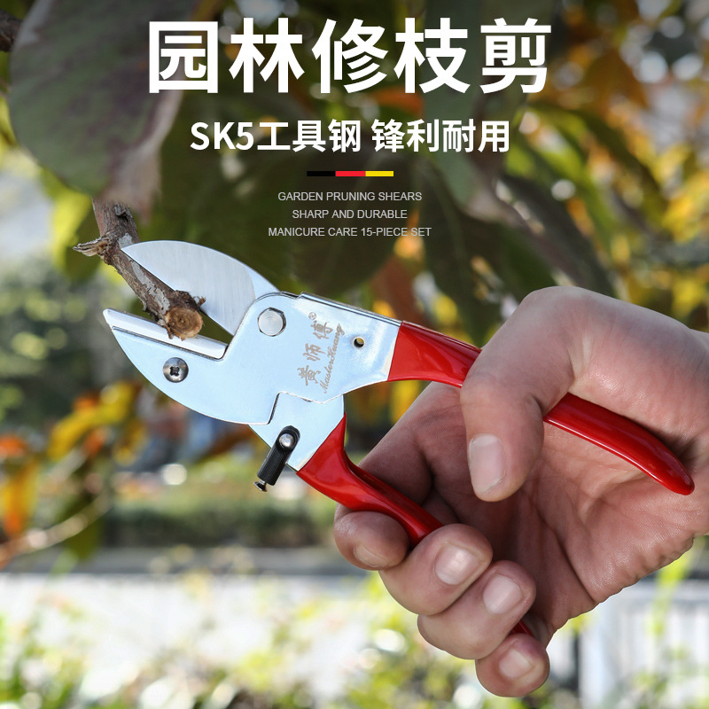 黄师傅粗枝树枝剪果树省力剪修枝剪SK5工具钢园林剪刀批发