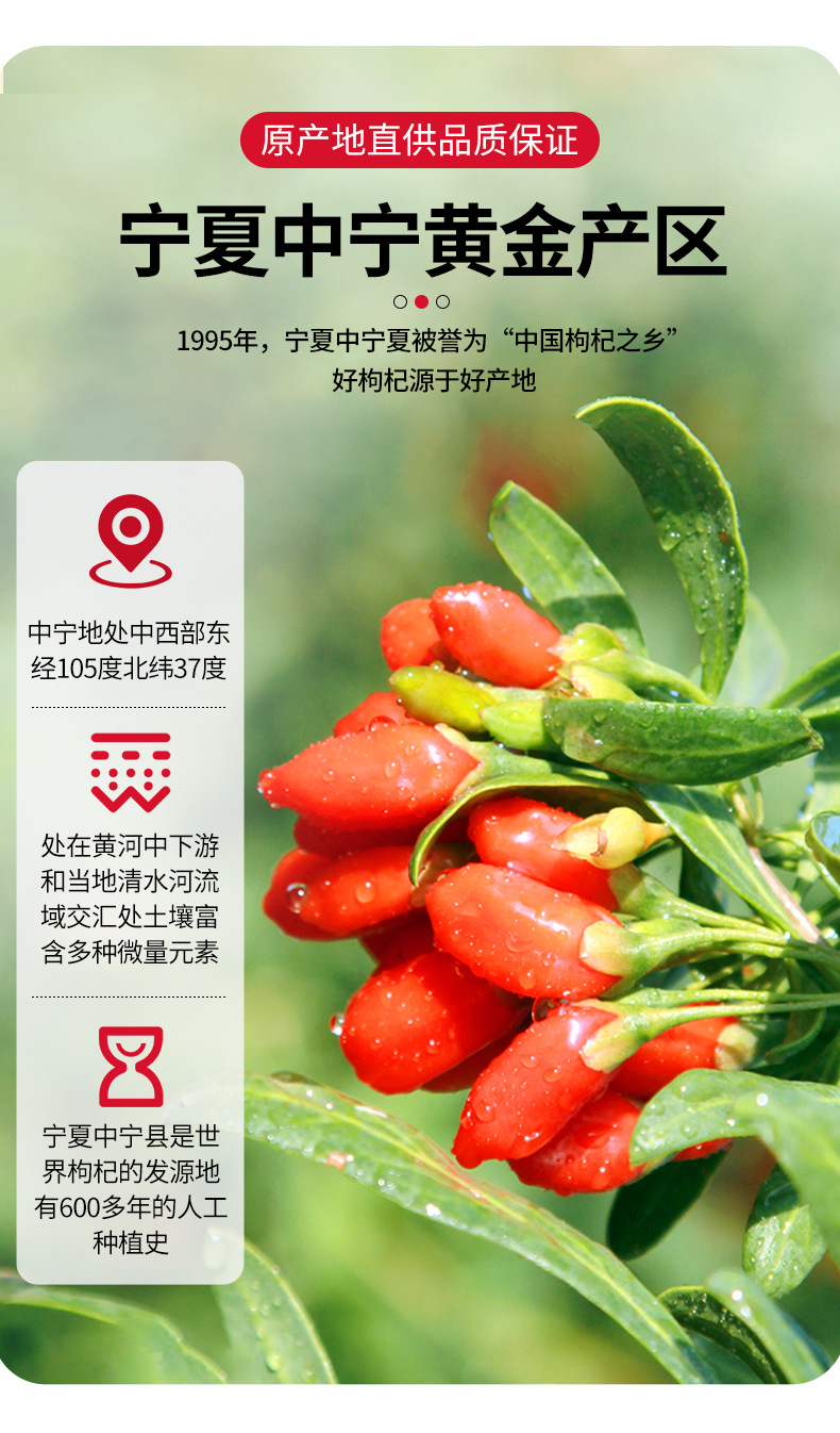 Dried Ningxia Goji Berries Gou Qi Zi Large Grade Ready to Eat 188g Can quality and texture