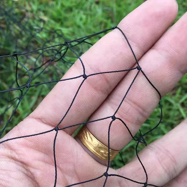 微信图片_20240304100931