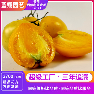 ����������ë���ѷN�Ӷ�֭���������ζ�҃��̨�����ز˷N��