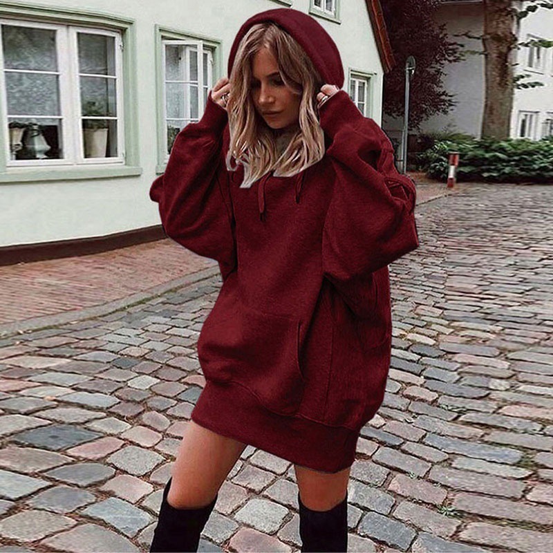 Women's Hoodie Long Sleeve Hoodies & Sweatshirts Pocket Patchwork Fashion Solid Color display picture 1