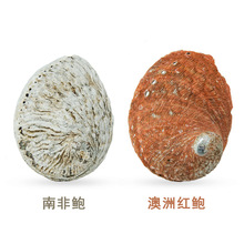 ϷU޼tUβݷˮbmU~޾GUl