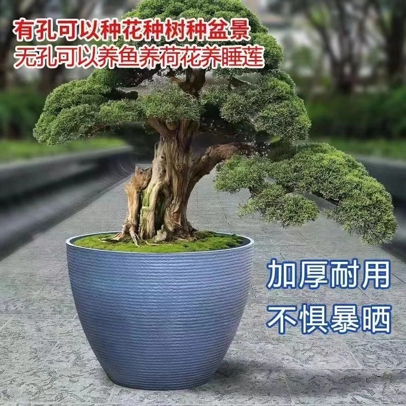 f9b0225d-6a08-405b-9a6d-8788893d7c5c.jpe