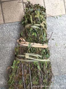 ��ș���Ҙ������ș����ľ��������ľ�������Ә��������ľ�����l