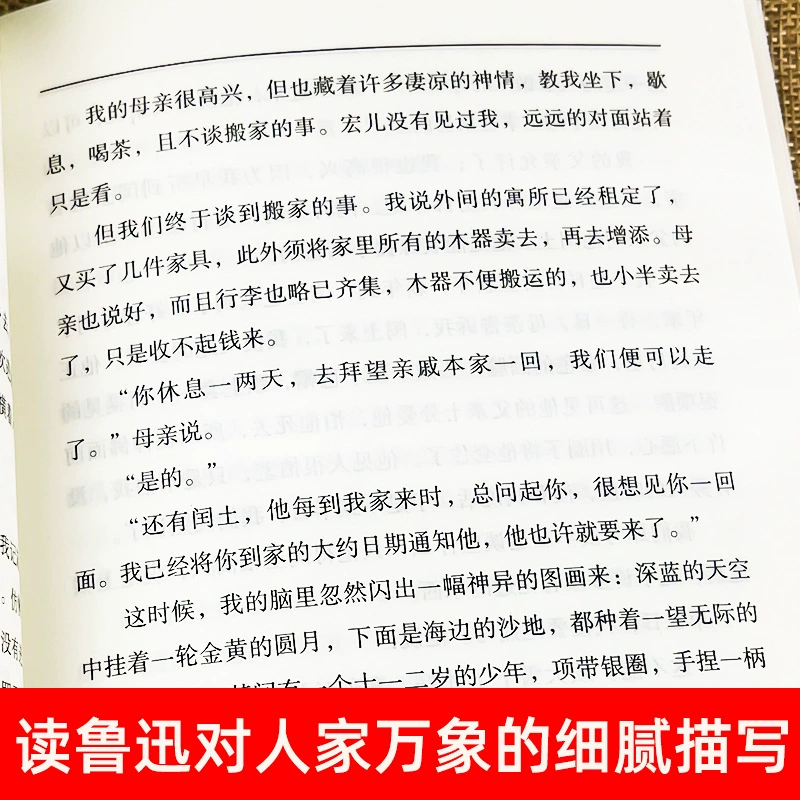 Дневник безумца: Ло Сюна Художественные произведения Полное собрание оригинальной подлинной версии оригинальной неудовлетворительной юбилейной версии народного романа оптом