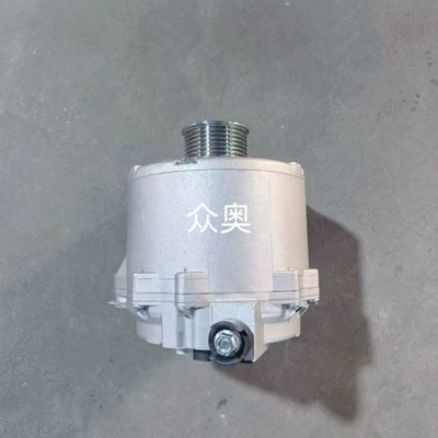 Generatorlar hissələri (Dinamo və detalları) Generator Lr1190906 Generator