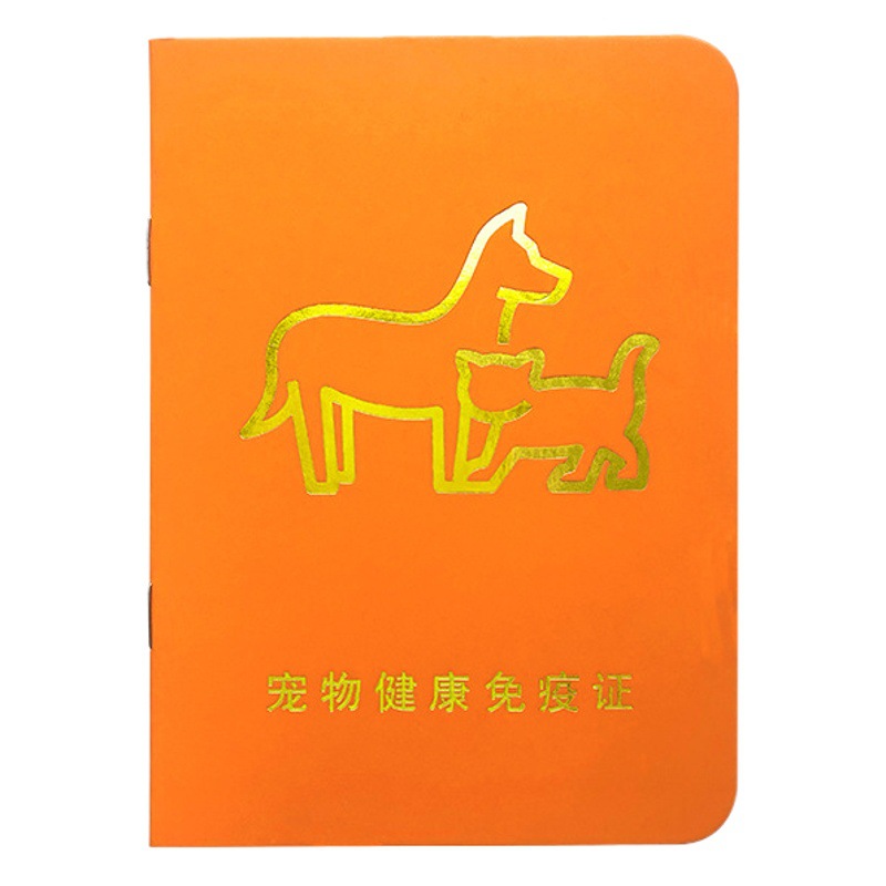 Cross-Border In-Stock Multi-Color Pu Faux Leather Boarding Pass Card Holder, Customizable with Logo, with Lanyard and Strap, Card Paper Luggage Tag
