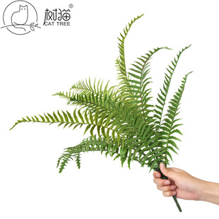 ����Gֲ���Դ��~��˹��ާ�ֲ��15�~��ˮ����ާ��ֲ��bٲ�