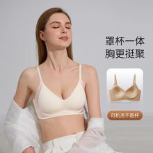 ¿йzoŮʿ͸۔nСع̶Ůܛ֧