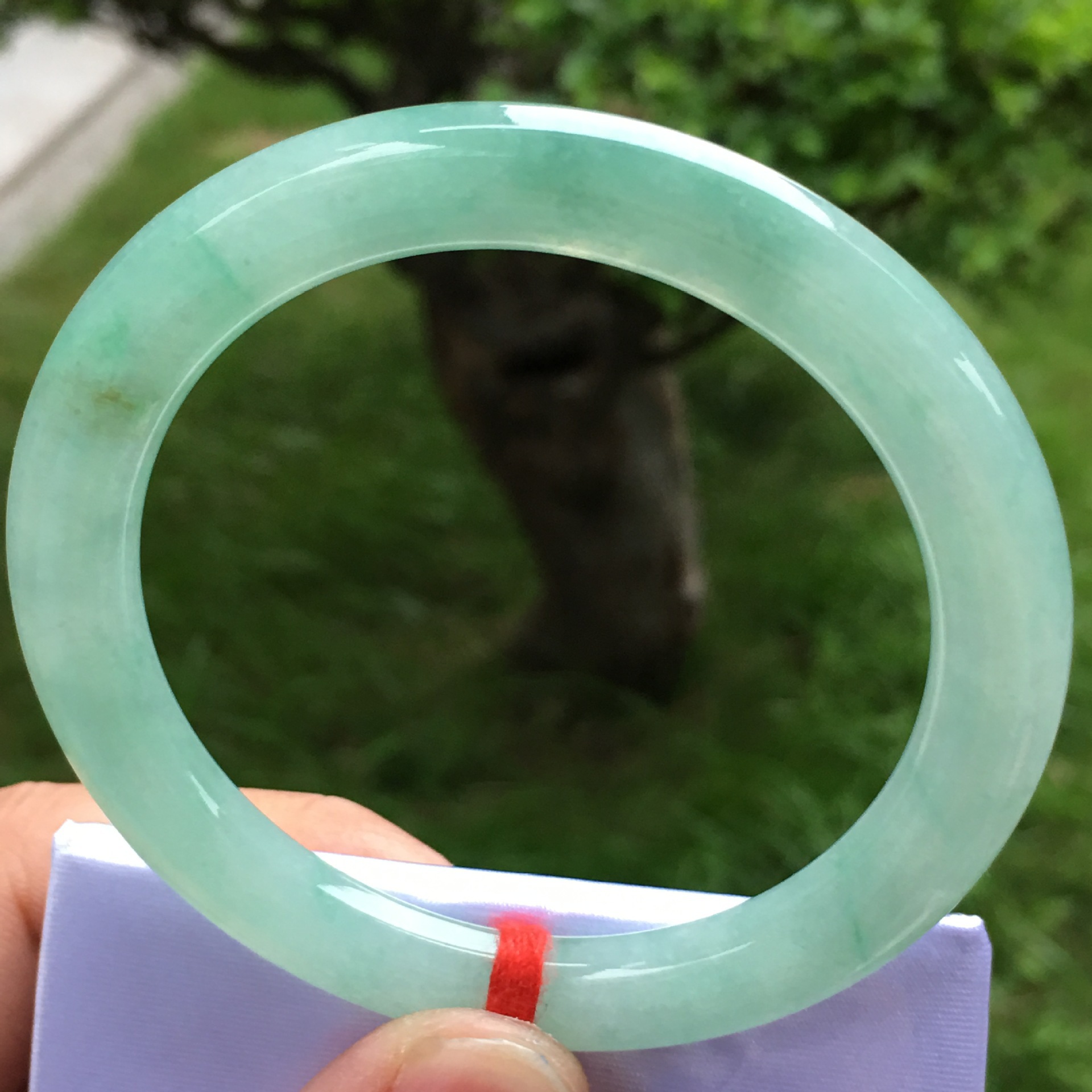 Natürliches burmesisches Typ-A-Jadeit-Armband, Jade-Armreif_voghion.com