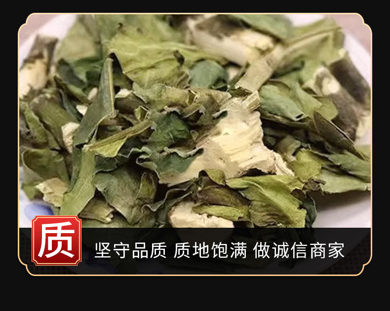 Da Bo Gu (Gendarussa vulgaris) — Dried TCM Herb for Bone-Setting & Wind-Damp Formulas specifications