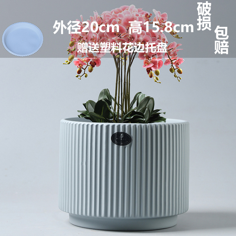 マット特大アテネ アカシア グレー (プラスチック トレイ付き) / ビッグセラミック