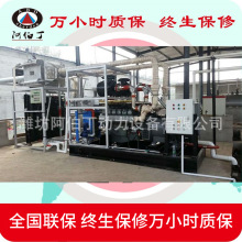 ��Ȼ��l늙C�M ȼ��l늙C�M250kw  250kw��Ȼ��l늙C�������