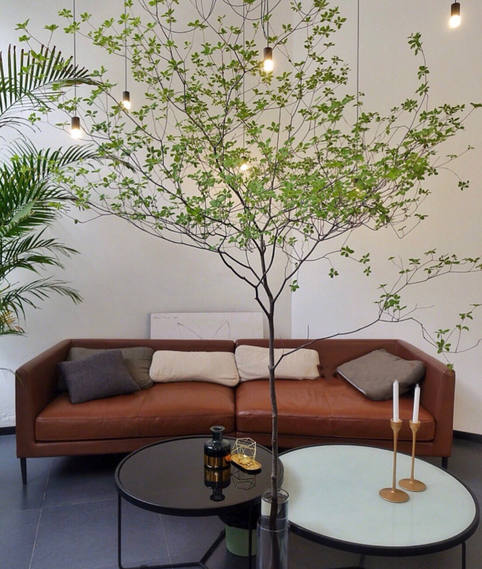 仿真日本吊钟枝假植物造景绿植马醉木室内客厅落地盆栽装饰摆件