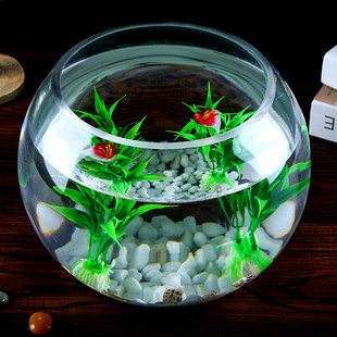 Simple Small Transparent Spherical Glass Goldfish Tank Water-Raising Glass Flower-arranging Hydroponic Transparent Vase Home Gardening