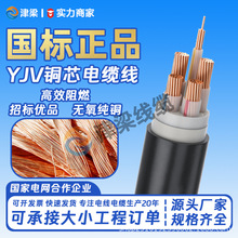 全球暢銷阻燃YJV電纜3芯10平方電線國標純銅戶外電機電源線電纜線