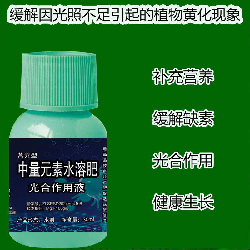 光合成液体植物一般養液葉面肥料クロロフィル黄色葉緑化光黄変修復肥料|undefined