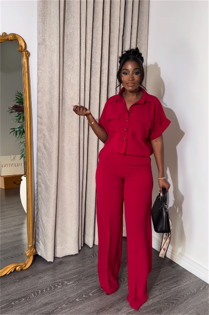 Holiday Daily Women's Casual Solid Color Polyester Button Pant Co-ord Set Pants Sets display picture 22