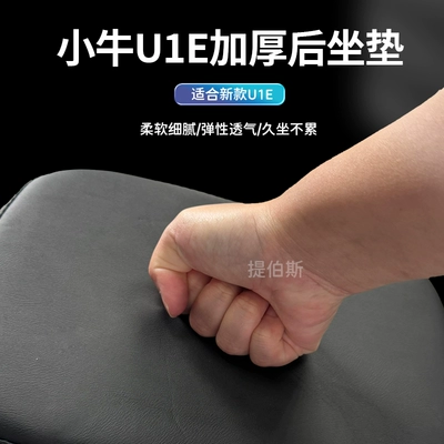 Model U1E Rear Seat Cushion | Electric car cushion