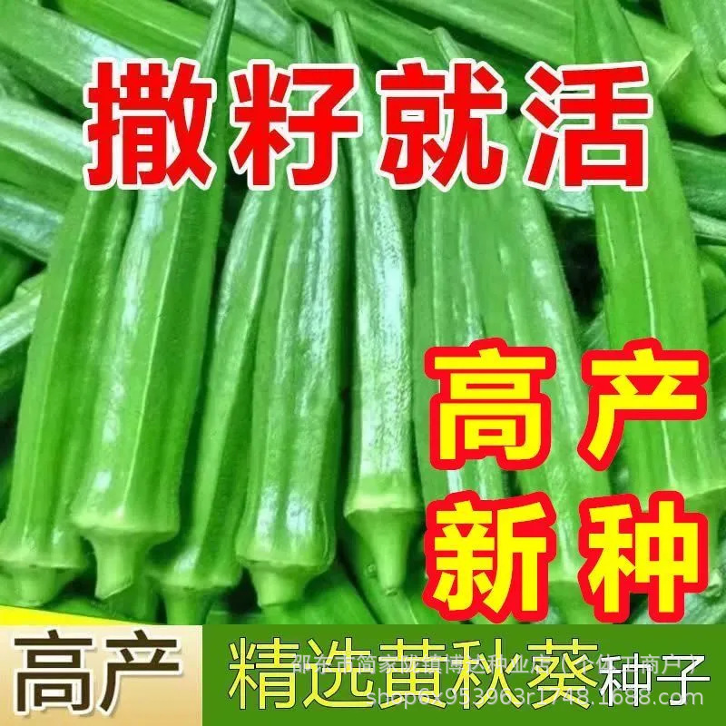Okra Seeds, Yellow Okra Seeds, Red Okra Seeds, High-Yield Vegetable Seeds for All-Season Planting, All-Season Vegetable Seeds Okra Seeds, Yellow Okra Seeds, Red Okra Seeds, High-Yield Vegetable Seeds for All-Season Planting, All-Season Vegetable Seeds
