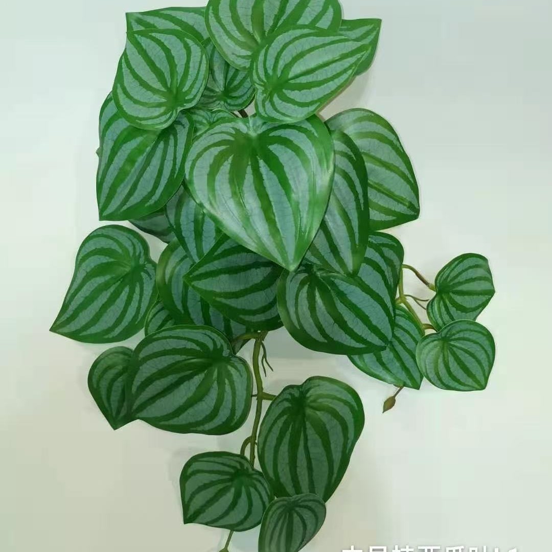 29잎 수박 L1