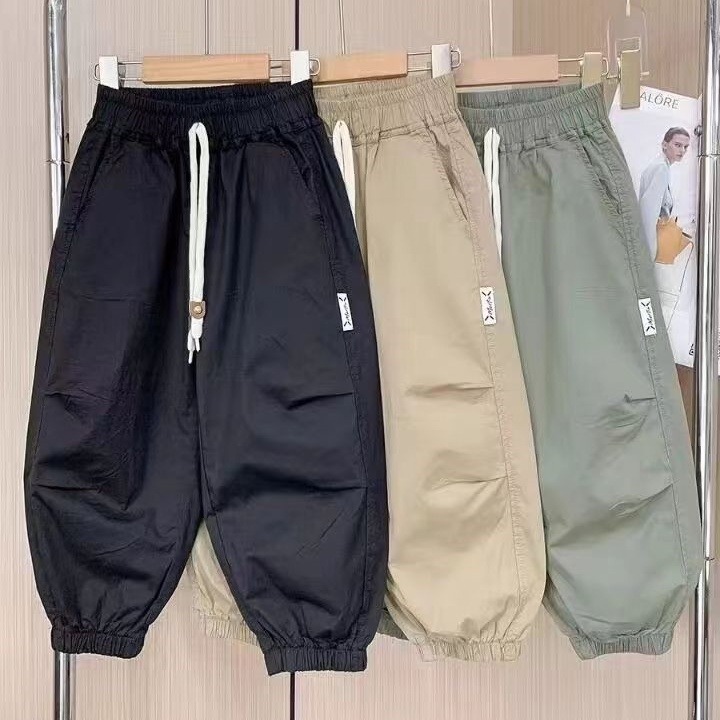 Boys' Summer Pants Children's Summer Anti-mosquito Pants 2025 New Style Mid-Large Children's Summer Quick-drying Sports Pants Thin Trendy