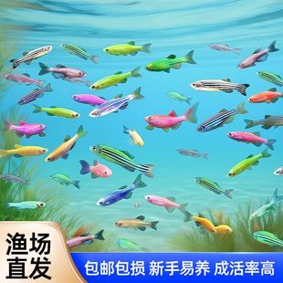 �߲��ǹ����R�~�^�p�~��̖С�͟Ꭷ�����~��ˮ���B�ͻ���B�M���b