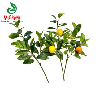 �����~���ʽ��֦ins�L�ҾӾƵ��b廨�zӰ���ߔ[�����왎�ʹ�