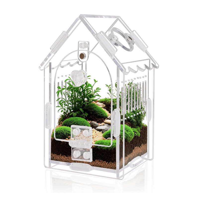 磁吸门跳蛛饲养箱 亚克力玻璃爬宠容器 狼蛛螳螂爬行动物通用