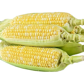 块茎类;苹果;其他水果