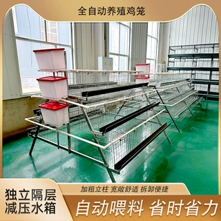 畜牧养鸡全套设备层叠式全自动蛋鸡笼加厚四层蛋鸡养殖笼厂家现货
