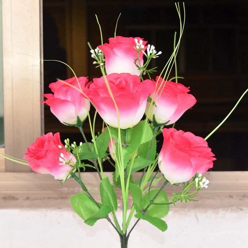 Rosa