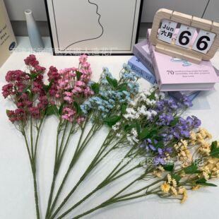 insС�r�շ��滨�Ҿ��b������ٻ�����������Ů�^���diyС�r��