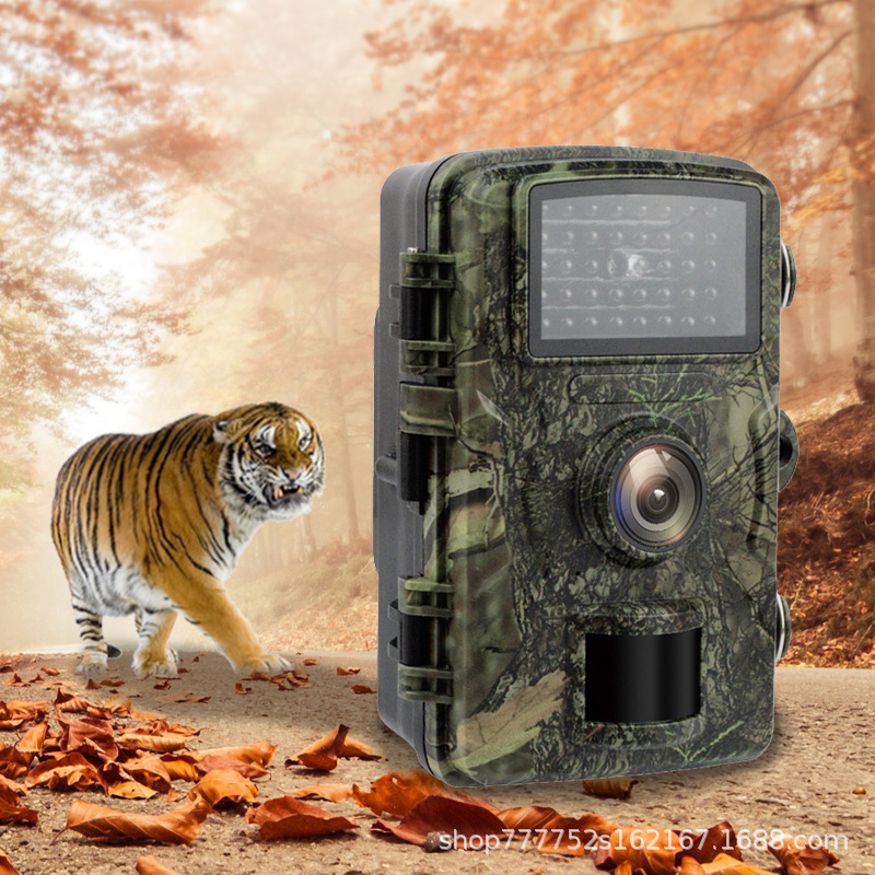 Field Monitoring Infrared Night Vision Hunting Camera Low Power Hunting Ip66 Animal Habits Care Orchard Camera