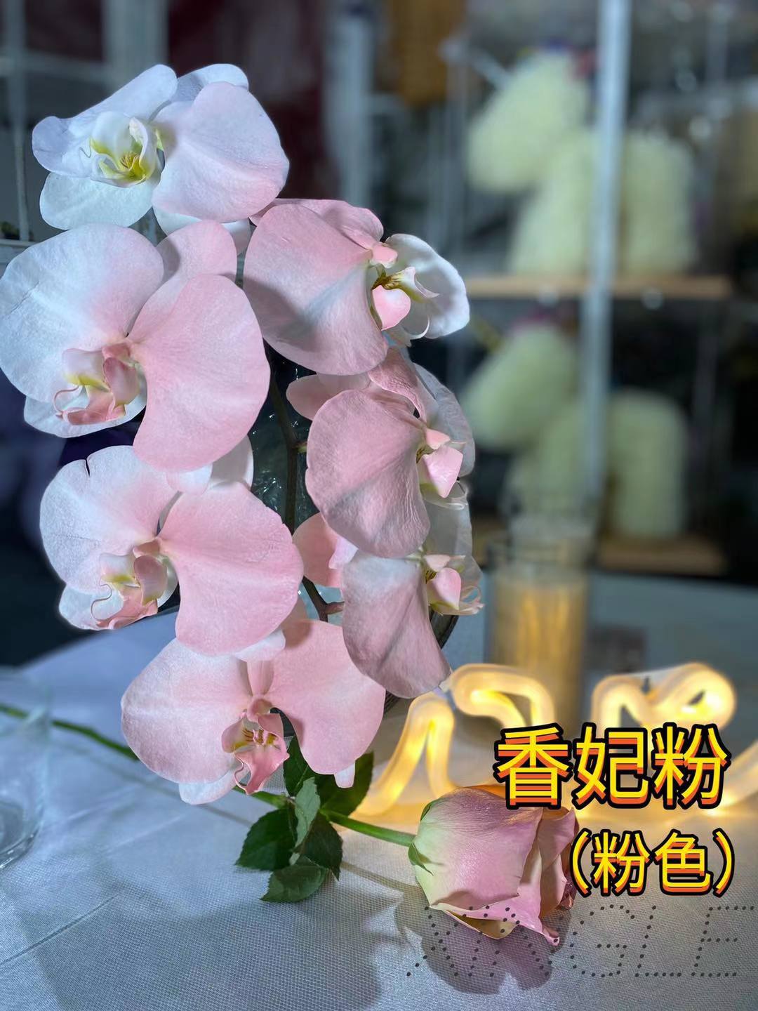 Xiangfei 분말 큰 병 400ml