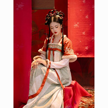 2025�h������������ֱ�I�����\12�ƽ��ȹ���Ɲh������Ů��