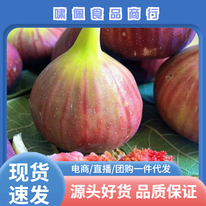 四川云南无花果波姬红新鲜水果包邮应当季水果无花果一件代发
