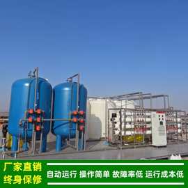 大型双极反渗透纯水机_深圳工业反渗透制造纯净水的设备绿健供应