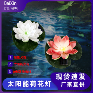�羳̫��ܺɻ��� ����ɻ�ˮƯ�����⻨�@�����߲�led�b�