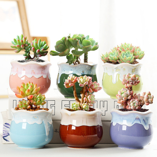 One piece dropshipping succulent flowerpot ceramic stoneware retro size and caliber set street stall supply wholesale