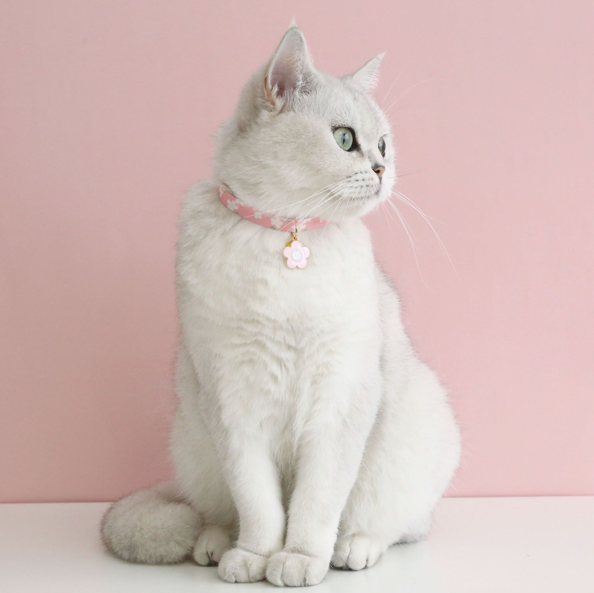 QQ图片20221009155832