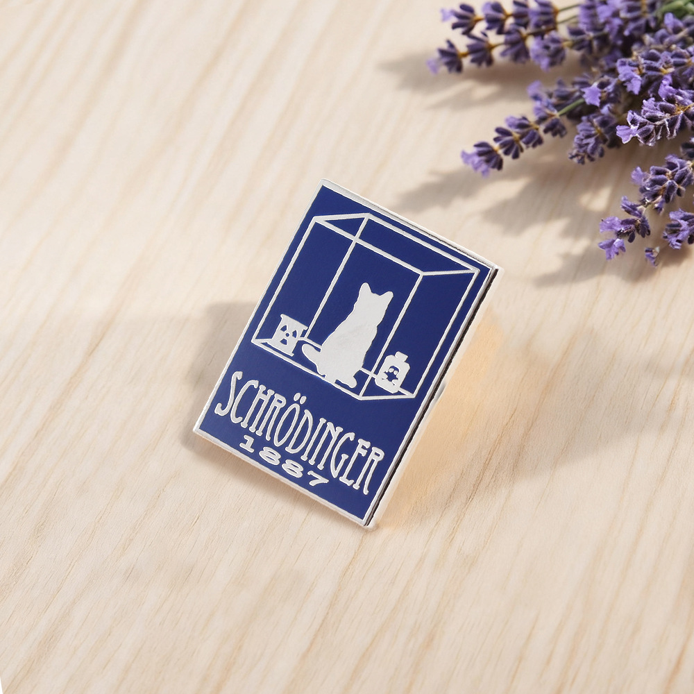 Creative Schrödinger's Cat Science Concept Brooch Quantum Physics Experiment Metal Badge School Bag Pin Accessories