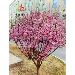 ���~÷������޽���������÷ͥԺ�@���ͺ��G���L��������~÷����