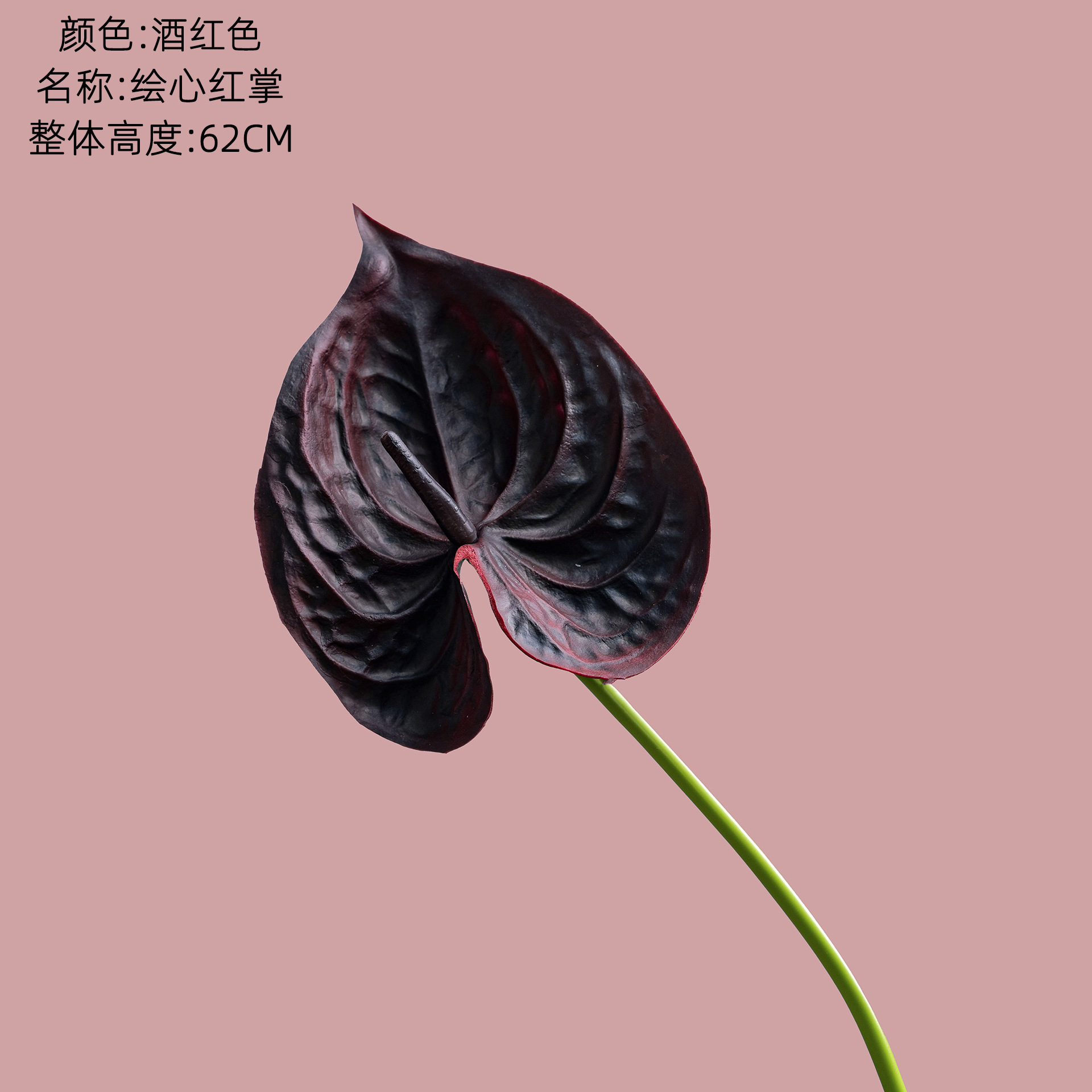 부르고뉴
