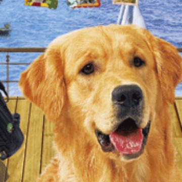 现货供应立体   ,感觉 3D芯片书签印刷厂