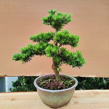 ���T�_�h���辰ͥԺ�Gֲ�ļ�������B�ͻ����ڸߙn�ͺ��L��