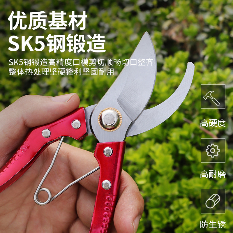 修枝剪进口高猛钢省力修剪剪刀园艺修花木果树嫁接园林工具修枝剪