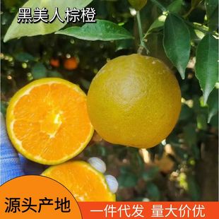�ɿ����سȬFժˮ�����l���wĚ�������֭��Ƥ��������ۺ����خa