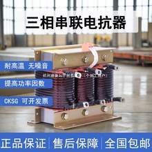 �����翹��������ݹ����ר��CKSG-2.1��ѹ�˲����������翹��